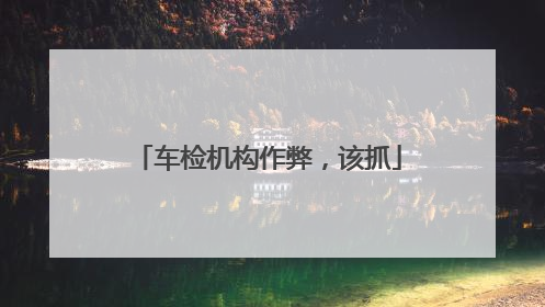 车检机构作弊，该抓