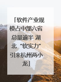 软件产业规模占中部六省总量逾半 湖北“软实力”引来杭州两小龙
