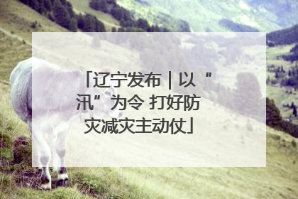辽宁发布｜以“汛”为令 打好防灾减灾主动仗