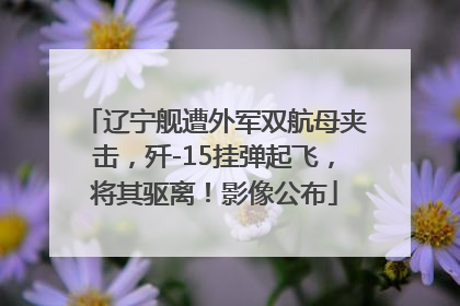 辽宁舰遭外军双航母夹击，歼-15挂弹起飞，将其驱离！影像公布