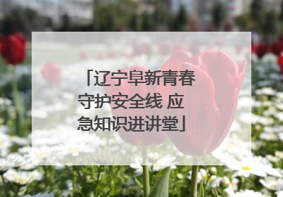 辽宁阜新青春守护安全线 应急知识进讲堂