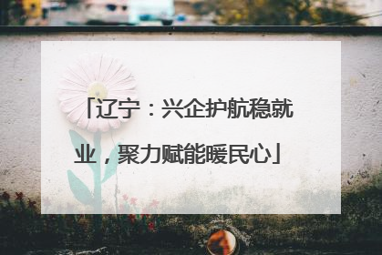 辽宁：兴企护航稳就业，聚力赋能暖民心
