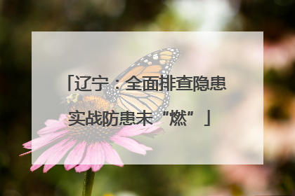 辽宁：全面排查隐患 实战防患未“燃”