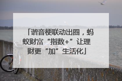 谐音梗联动出圈，蚂蚁财富“指数+”让理财更“加”生活化