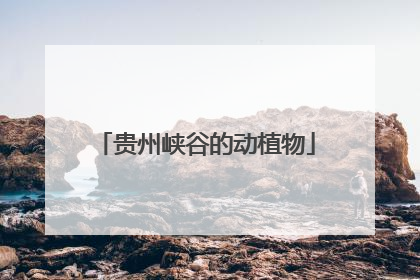 贵州峡谷的动植物