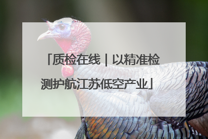 质检在线｜以精准检测护航江苏低空产业