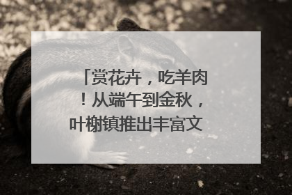 赏花卉，吃羊肉！从端午到金秋，叶榭镇推出丰富文旅活动邀您爽玩