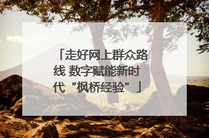 走好网上群众路线 数字赋能新时代“枫桥经验”