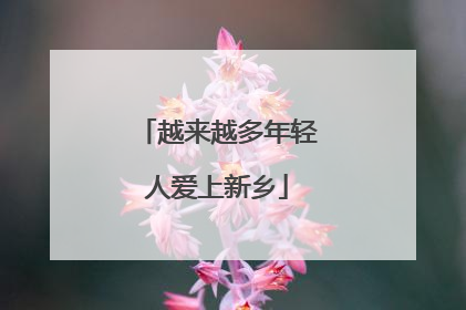 越来越多年轻人爱上新乡
