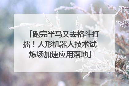 跑完半马又去格斗打擂！人形机器人技术试炼场加速应用落地