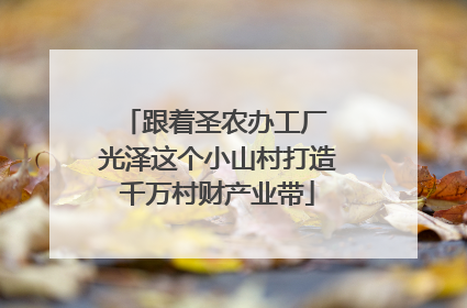 跟着圣农办工厂 光泽这个小山村打造千万村财产业带