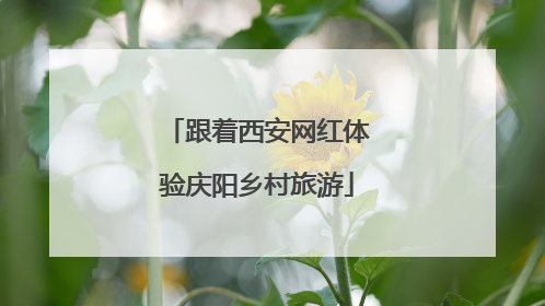 跟着西安网红体验庆阳乡村旅游