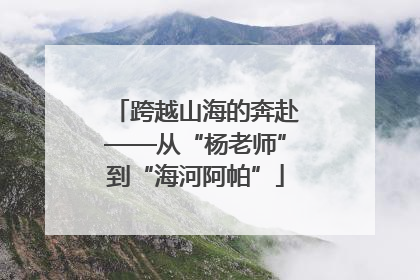 跨越山海的奔赴——从“杨老师”到“海河阿帕”