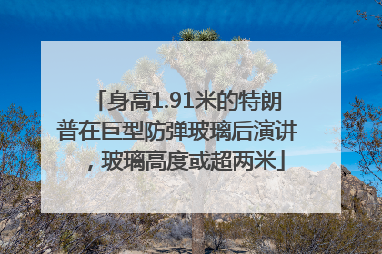 身高1.91米的特朗普在巨型防弹玻璃后演讲，玻璃高度或超两米