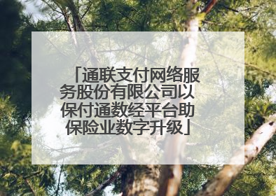 通联支付网络服务股份有限公司以保付通数经平台助保险业数字升级