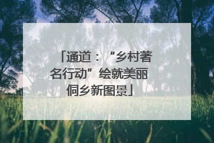 通道：“乡村著名行动”绘就美丽侗乡新图景