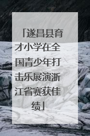 遂昌县育才小学在全国青少年打击乐展演浙江省赛获佳绩
