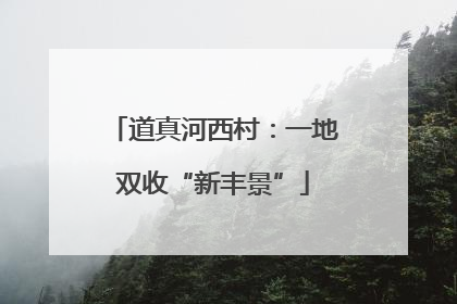 道真河西村：一地双收“新丰景”