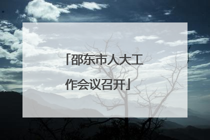 邵东市人大工作会议召开