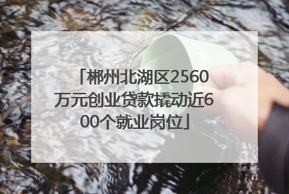郴州北湖区2560万元创业贷款撬动近600个就业岗位