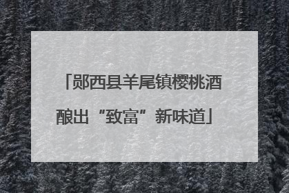 郧西县羊尾镇樱桃酒酿出“致富”新味道