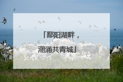 鄱阳湖畔，潮涌共青城