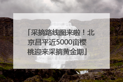 采摘路线图来啦！北京昌平近5000亩樱桃迎来采摘黄金期