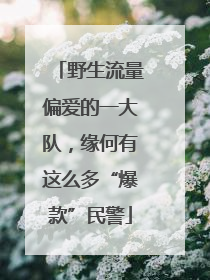 野生流量偏爱的一大队，缘何有这么多“爆款”民警