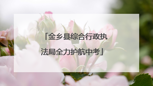 金乡县综合行政执法局全力护航中考