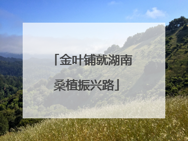 金叶铺就湖南桑植振兴路