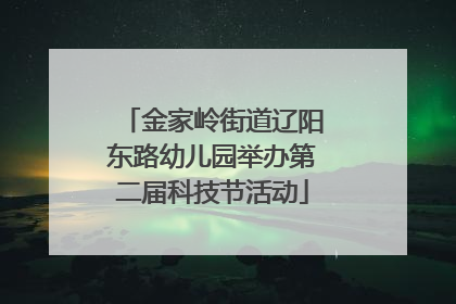 金家岭街道辽阳东路幼儿园举办第二届科技节活动