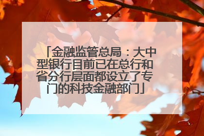 金融监管总局：大中型银行目前已在总行和省分行层面都设立了专门的科技金融部门