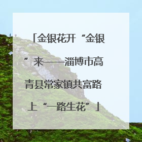 金银花开“金银”来——淄博市高青县常家镇共富路上“一路生花”
