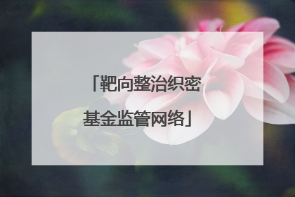 靶向整治织密基金监管网络
