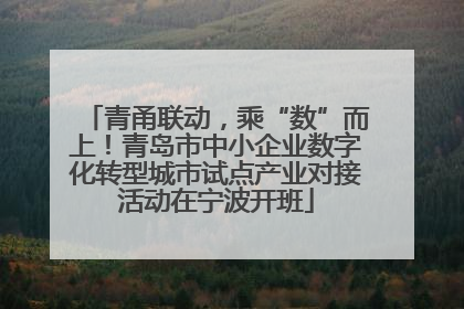 青甬联动，乘“数”而上！青岛市中小企业数字化转型城市试点产业对接活动在宁波开班