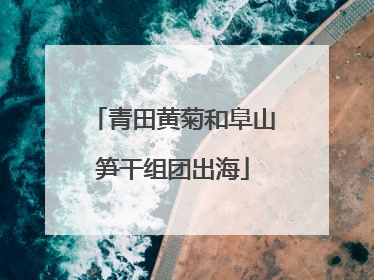 青田黄菊和阜山笋干组团出海