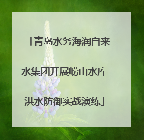 青岛水务海润自来水集团开展崂山水库洪水防御实战演练