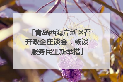 青岛西海岸新区召开政企座谈会，畅谈服务民生新举措