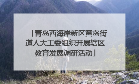 青岛西海岸新区黄岛街道人大工委组织开展辖区教育发展调研活动