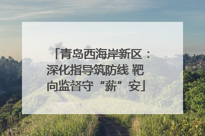 青岛西海岸新区：深化指导筑防线 靶向监督守“薪”安