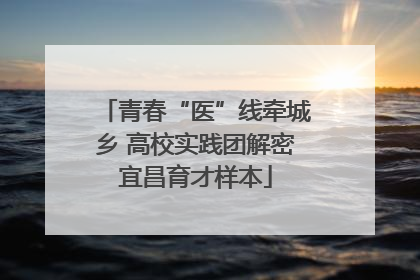 青春“医”线牵城乡 高校实践团解密宜昌育才样本