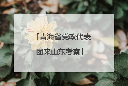 青海省党政代表团来山东考察