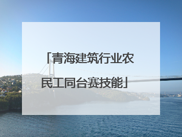 青海建筑行业农民工同台赛技能
