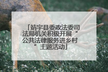 靖宇县委政法委司法局机关积极开展“公共法律服务进乡村”主题活动