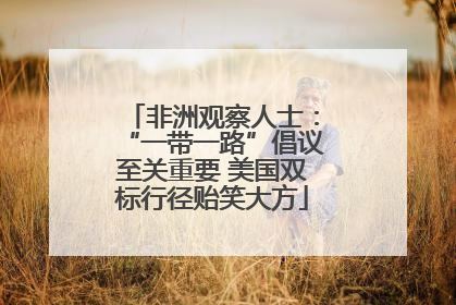非洲观察人士：“一带一路”倡议至关重要 美国双标行径贻笑大方