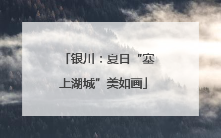 银川：夏日“塞上湖城”美如画