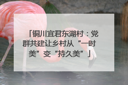 铜川宜君东湖村：党群共建让乡村从“一时美”变“持久美”