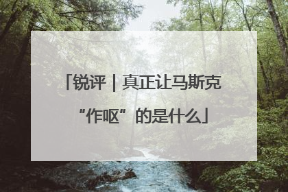 锐评｜真正让马斯克“作呕”的是什么