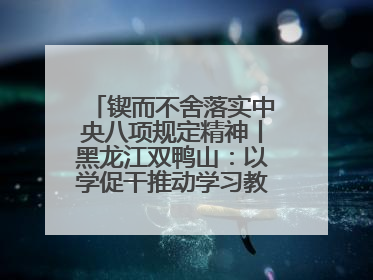 锲而不舍落实中央八项规定精神丨黑龙江双鸭山：以学促干推动学习教育走深走实 从小事入手写好“民生答卷”