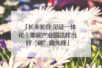 长来长往·见证一体化｜零碳产业园这样当好“碳”路先锋